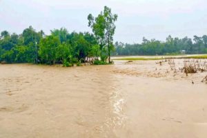 দেশের ১৬ জেলায় বন্যার পূর্বাভাস: ফসলের ব্যাপক ক্ষতির আশঙ্কা