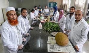 কাঁঠালের বীজ থেকে পুষ্টি উপাদান তৈরির প্রযুক্তি উদ্ভাবন করেছে গাকৃবির বিজ্ঞানীরা