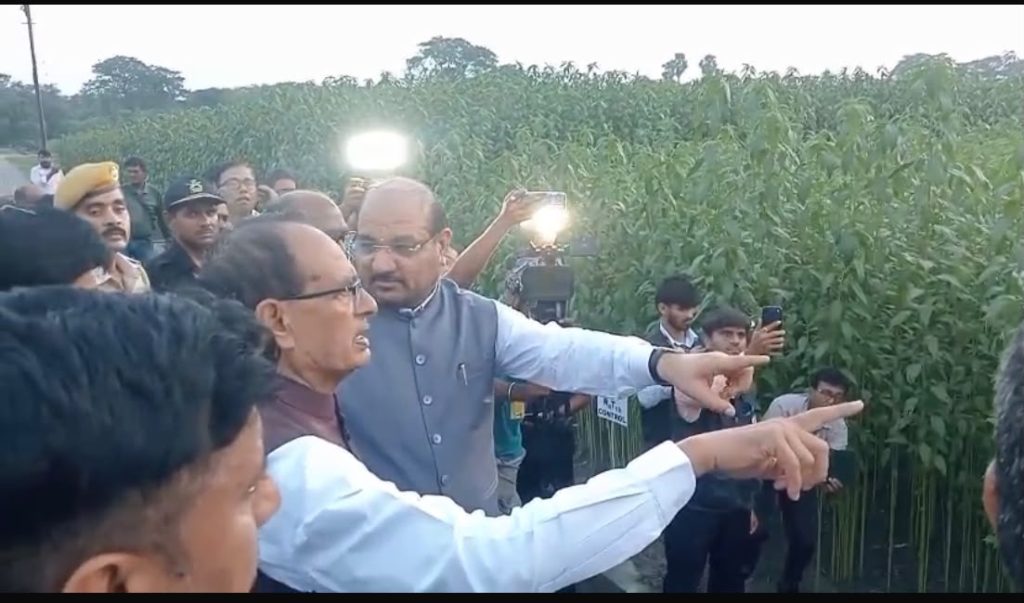 “ভারতীয় পাটের চেয়ে বাংলাদেশি পাট উন্নত” বলেছেন ভারতের কৃষিমন্ত্রী শিবরাজ সিং