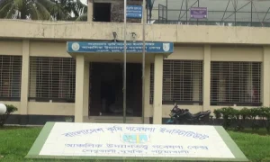 লবণাক্ত উপকূলে বিদেশি আম ও পেয়ারা চাষে আশার আলো