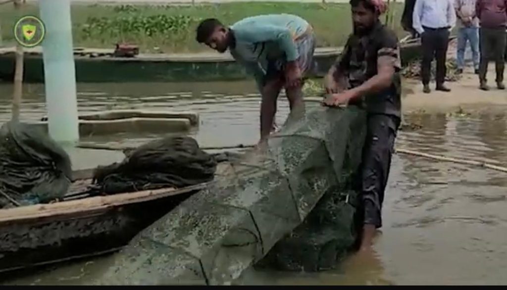 চলনবিলের অভিশাপ “ চায়না দুয়ারি জাল “ হারিয়ে যাচ্ছে ঐতিহ্যের বড় মাছ