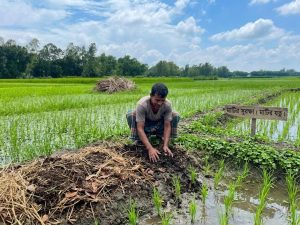 মাটির সহজাত ‘প্রাণ’ ও উর্বরতা কি হারিয়ে যাবে অবহেলায় ?