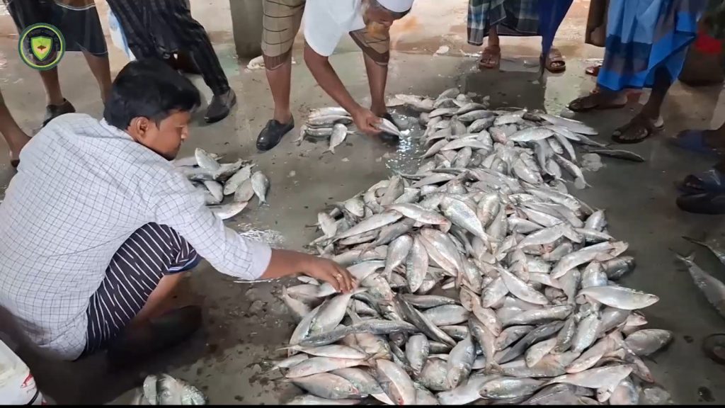 মাছ আর বরফের অভাবে মৎসজীবীরা মহাসংকটে