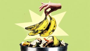 পচনশীল খাদ্যবর্জ্য থেকে বায়োগ্যাস ও বিদ্যুৎ উৎপাদনের দৃষ্টান্ত দক্ষিণ কোরিয়ায়
