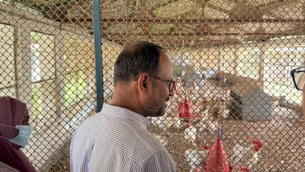 সরকারি মুরগির খামারের সমস্যা দুর করে উৎপাদন বাড়াতে প্রাণিসম্পদ প্রতিমন্ত্রীর নির্দেশ