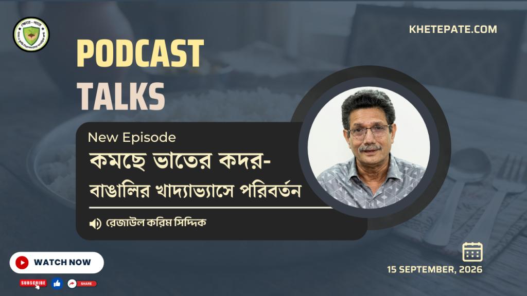 কমছে ভাতের কদর বাঙালির খাদ্যাভ্যাসে পরিবর্তন