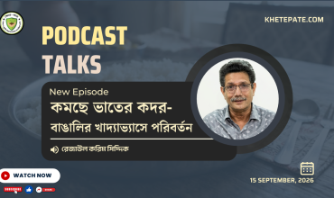 কমছে ভাতের কদর বাঙালির খাদ্যাভ্যাসে পরিবর্তন