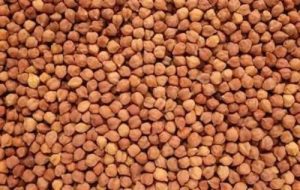 আমদানি স্বাভাবিক থাকলেও রমজানের আগেই অজ্ঞাত কারনে বাড়ছে ছোলার দাম